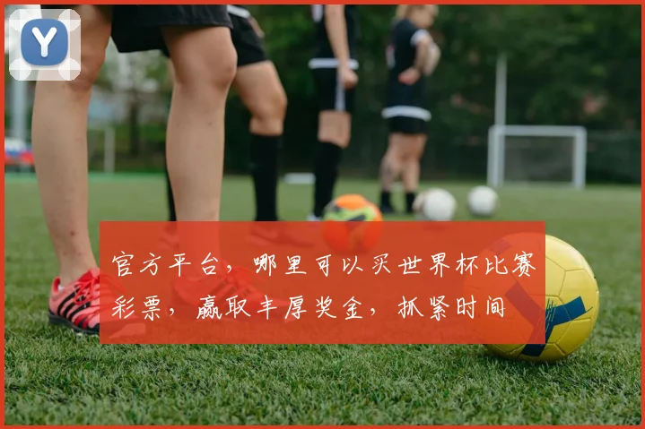 官方平台，哪里可以买世界杯比赛彩票，赢取丰厚奖金，抓紧时间